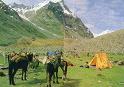 Trekkers set up camp in a valley