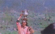 A Kashmiri woman carrying a samavar of tea to the fields.