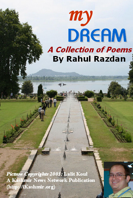 My Dream by Rahul Razdan